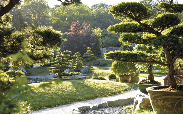 bonsai museum seeboden