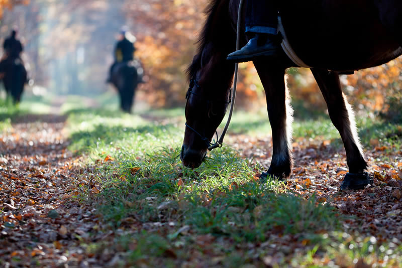 Reiten rundum Millstatt